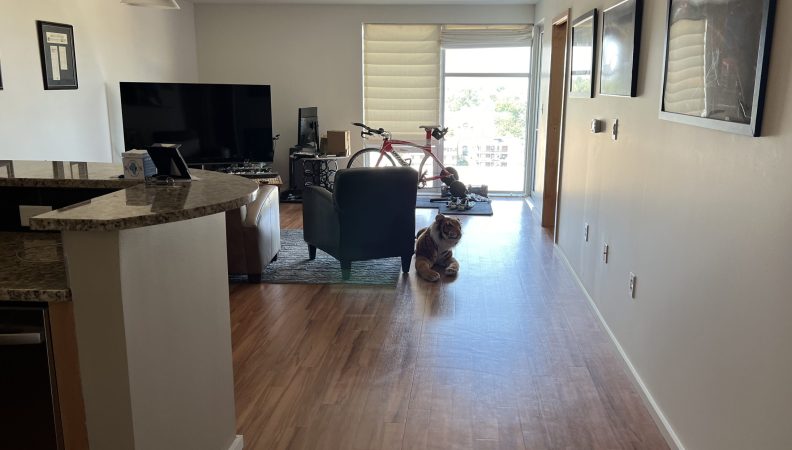 301 N Neil Unit 907 01